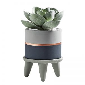 Cement Planter