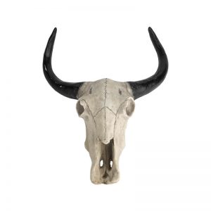 Bull Longhorn Resin Sculpture