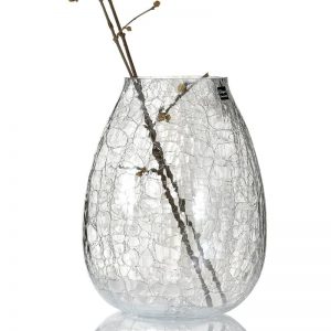 Glass Vase