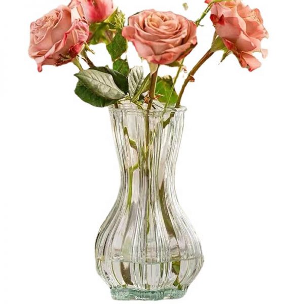 Glass Vase